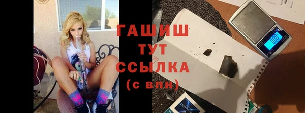 прущие грибы Вязники